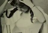 Shampoo a seco sendo aplicado no couro cabeludo em ilustração histórica