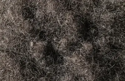 Textura de cabelo afro-texturizado em close, com cachos pequenos e densos