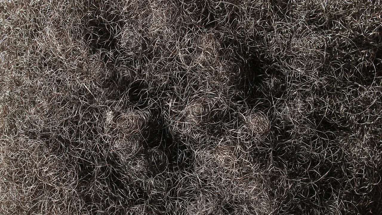 Textura de cabelo afro-texturizado em close, com cachos pequenos e densos