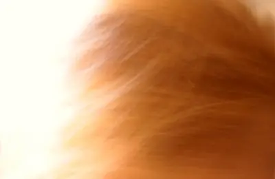 Close de fios de cabelo castanhos iluminados pela luz do sol, imagem ilustrativa sobre exposição aos raios UV.