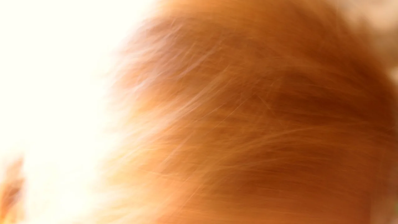 Close de fios de cabelo castanhos iluminados pela luz do sol, imagem ilustrativa sobre exposição aos raios UV.