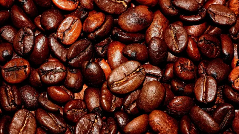 Grãos de café torrados, imagem ilustrativa da origem da cafeína
