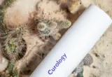 Ilustração de hidratante corporal ao lado de cacto, usada para explicar a escolha de produtos para áreas ressecadas.