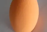 Esponja de maquiagem laranja seca em close sobre uma superfície neutra