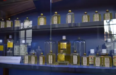 Frascos de perfume em vitrine, com rótulos visíveis para ilustrar a conferência de informações em embalagens cosméticas.