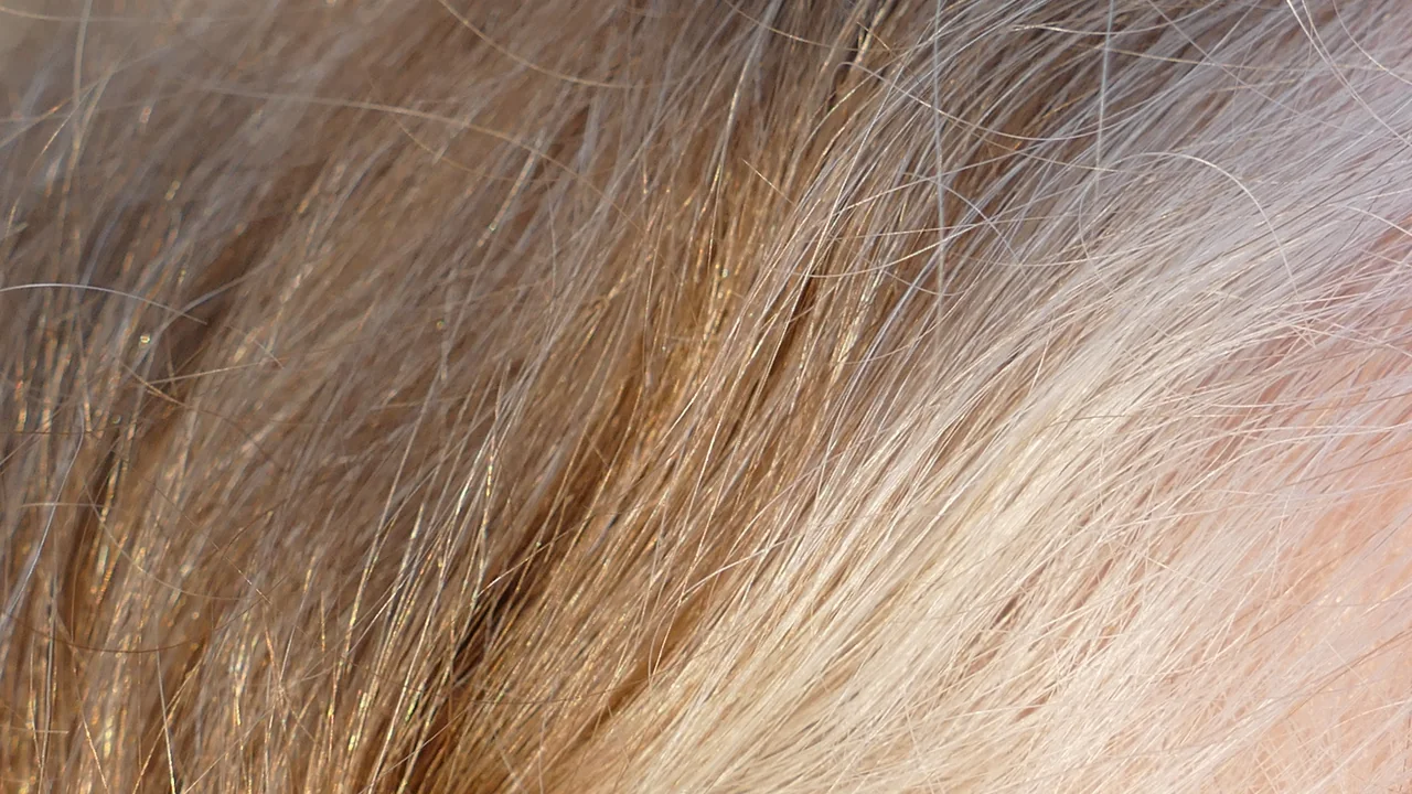 Close de fios castanhos e grisalhos em cabelo em transição