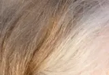 Cabelo em transição para o grisalho, com fios castanhos e brancos visíveis
