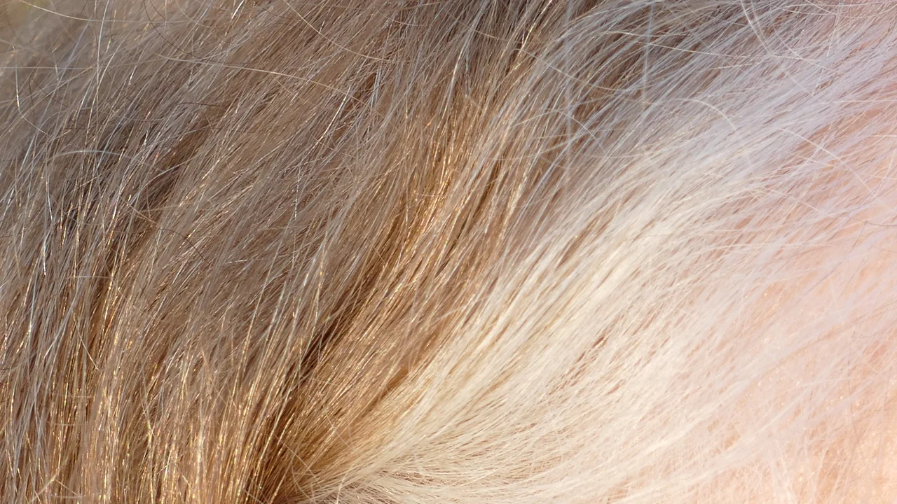 Cabelo em transição para o grisalho, com fios castanhos e brancos visíveis