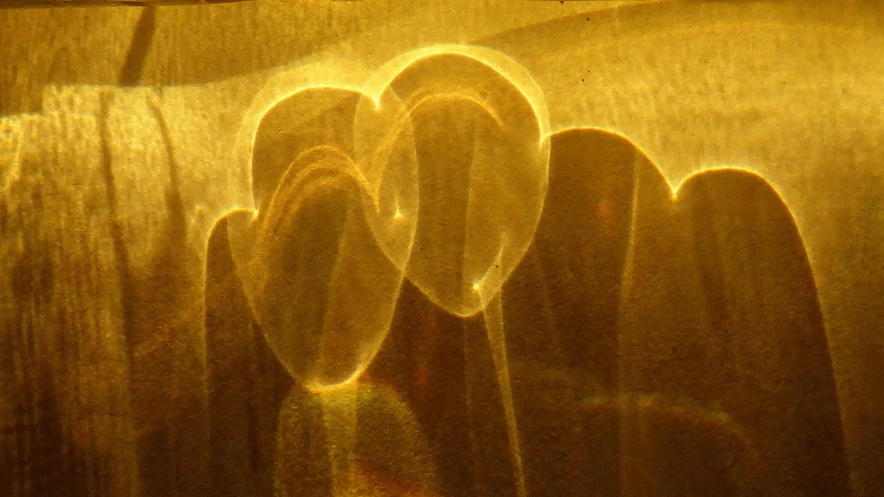 Textura dourada de óleo cosmético em imagem ilustrativa, sem relação com produto específico.