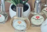 Garrafas de eau de cologne em composição ilustrativa para comparar fragrâncias leves