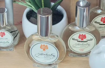 Garrafas de eau de cologne em composição ilustrativa para comparar fragrâncias leves