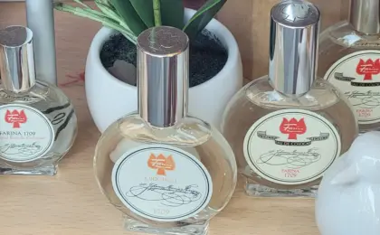 Garrafas de eau de cologne em composição ilustrativa para comparar fragrâncias leves