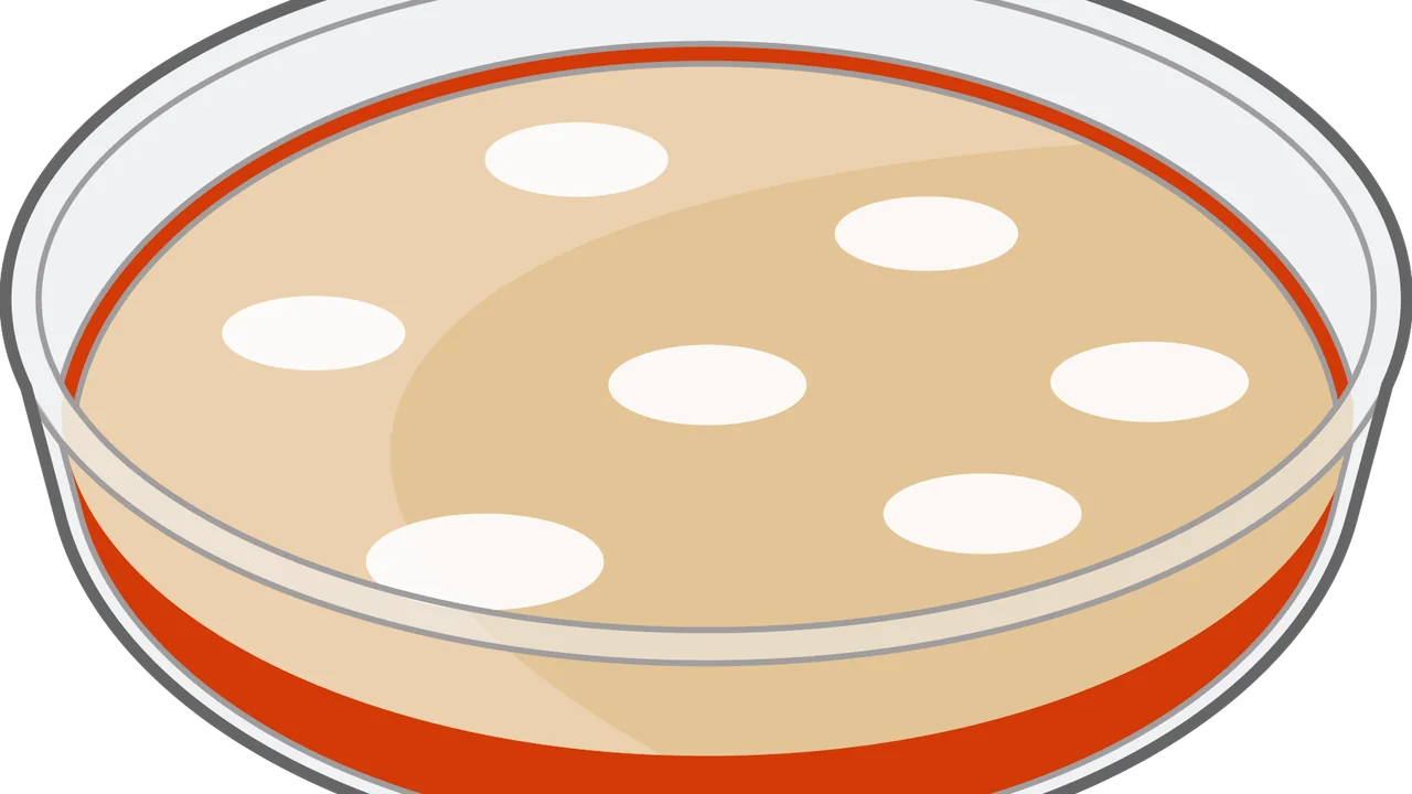 Ilustração de placa de Petri usada como referência visual para microbiologia e fermentação, sem representar uma fórmula cosmética específica
