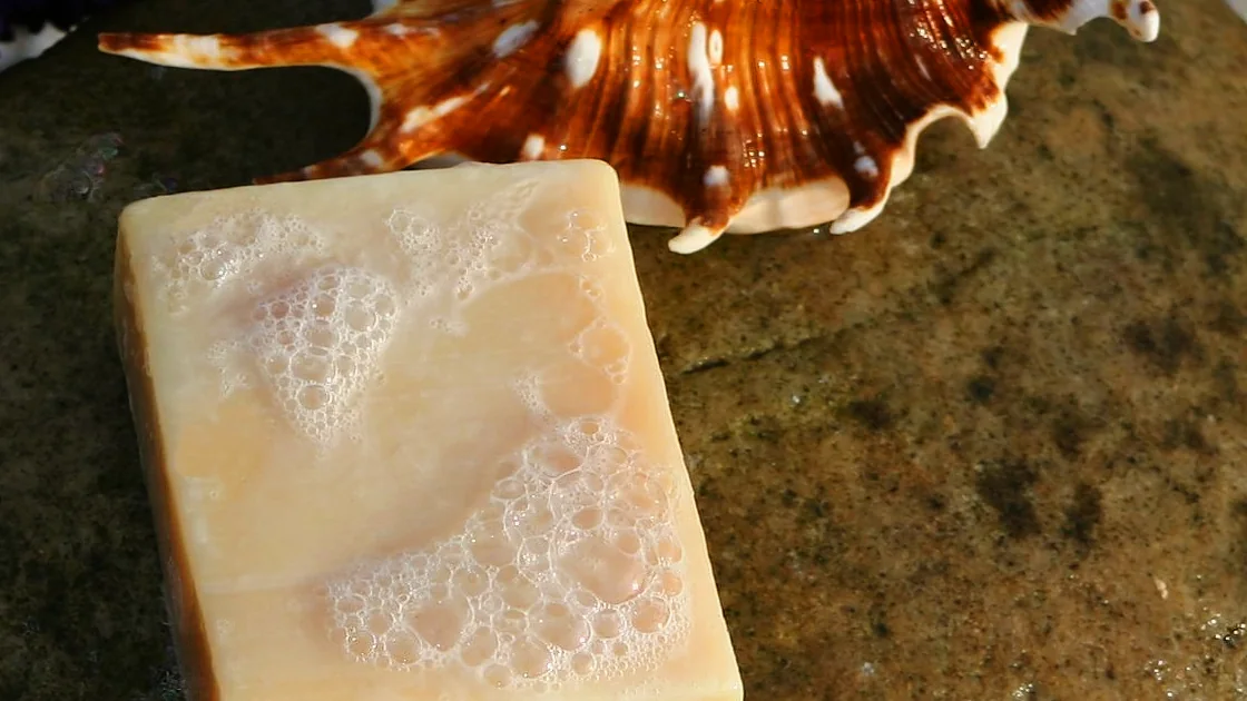 Barra de sabonete artesanal com espuma ao lado de uma concha, em cena ilustrativa