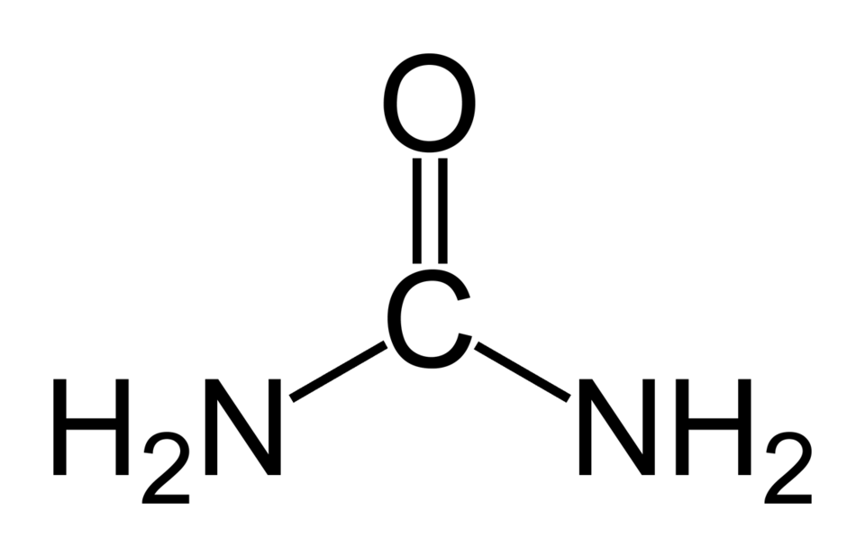 Estrutura química da ureia representada em fórmula estrutural, ilustração técnica