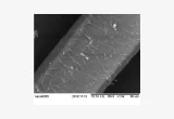 Imagem microscópica de uma fibra de cabelo humano, mostrando a superfície da cutícula