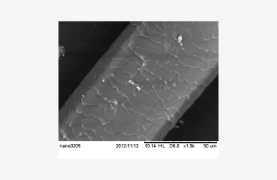 Imagem microscópica de uma fibra de cabelo humano, mostrando a superfície da cutícula
