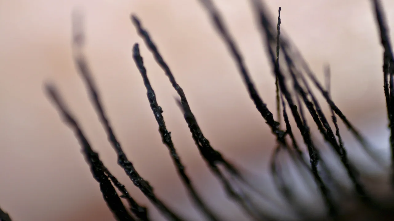 Cílios cobertos por máscara em fotografia macro