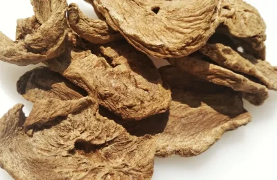 Raiz seca de chicória usada como referência visual para a inulina; a imagem não representa um produto cosmético.