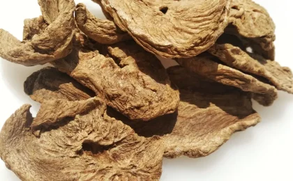 Raiz seca de chicória usada como referência visual para a inulina; a imagem não representa um produto cosmético.