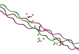 Estrutura helicoidal do colágeno representada em modelo molecular