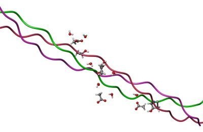 Estrutura helicoidal do colágeno representada em modelo molecular