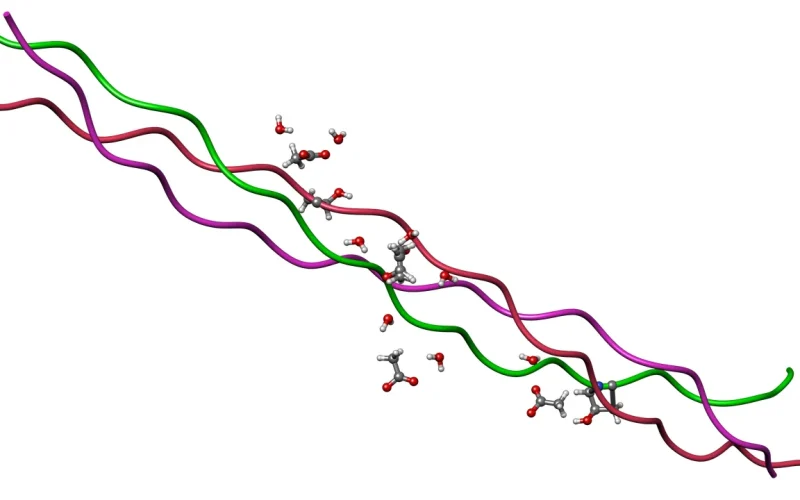 Estrutura helicoidal do colágeno representada em modelo molecular