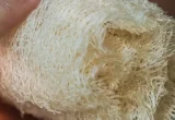 Pessoa usando uma bucha vegetal no corpo durante o banho