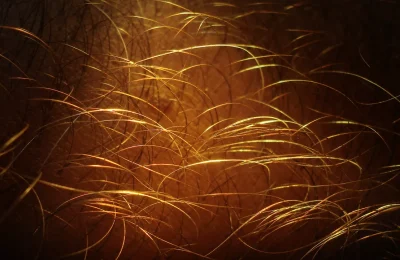 Fios de cabelo vistos em close-up
