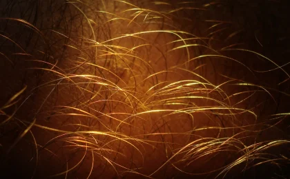 Fios de cabelo vistos em close-up