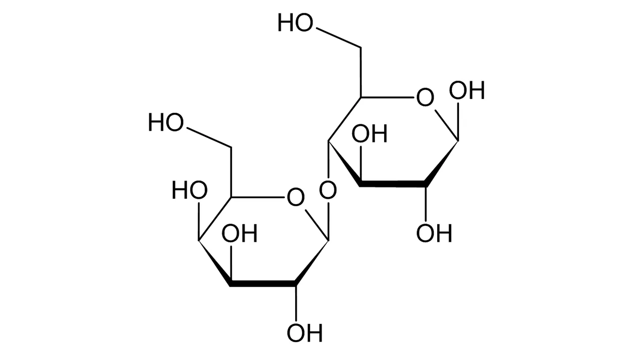 Estrutura da beta-lactose, molécula relacionada à origem do ácido lactobiônico