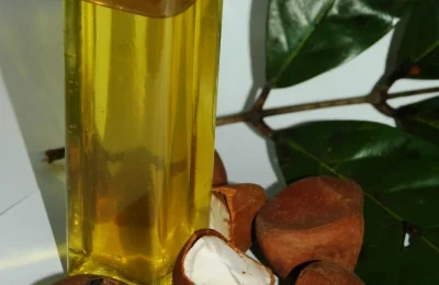 Frasco com óleo de andiroba, sementes e folhas