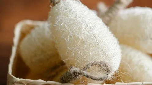 Coleção de buchas e esponjas naturais para o banho